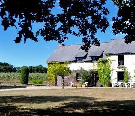 Gite De La Ruaudais Bréal-sous-Montfort Eksteriør bilde